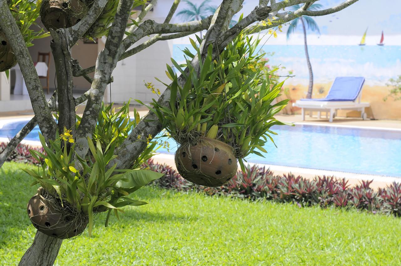 Residence Eburnea Abidjan Kültér fotó